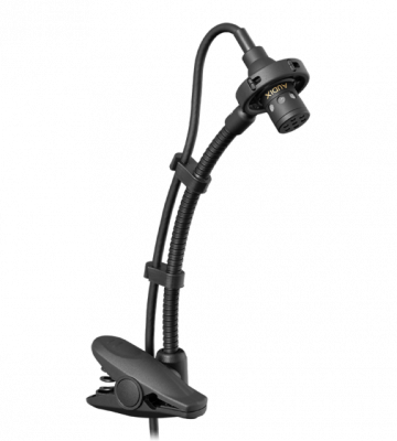 Audix ADX 20 iP